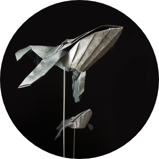 折り紙とオブジェの博物誌